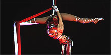 Circus Circus Show Acts
